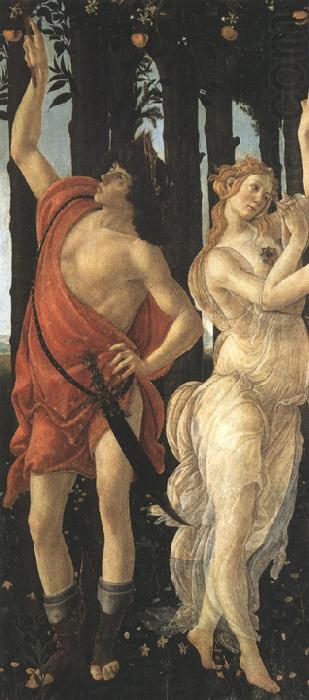 Primavera (mk36), Sandro Botticelli